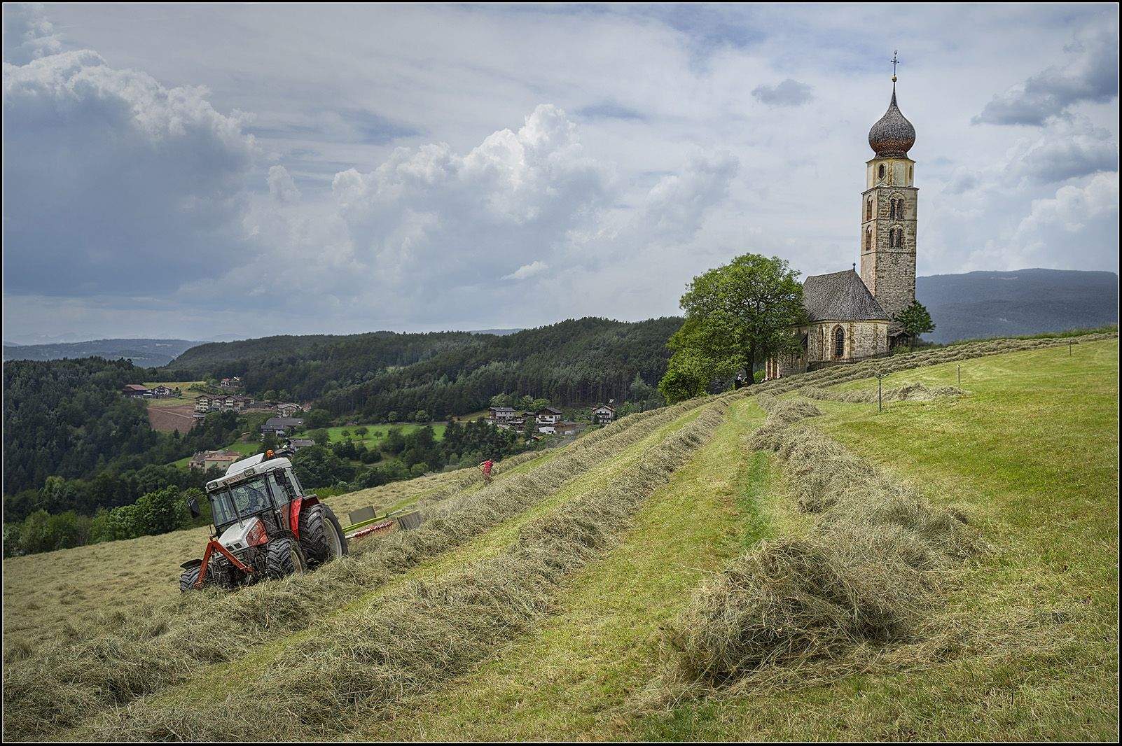 dolors homs i raurell   treballant al camp   Castelrotto     Bolzano     Dolomites     Italia