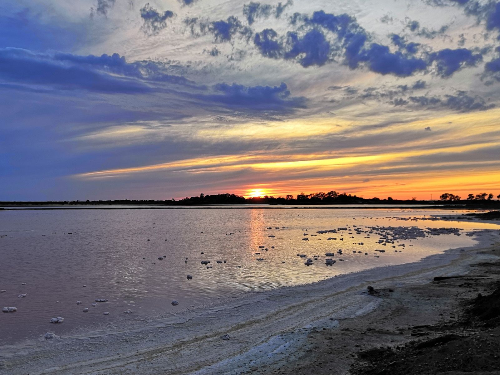 Eulàlia Torres Lacruz   L'ocàs a l'platja de sal   Salin de Giraud, La Camarga (França)