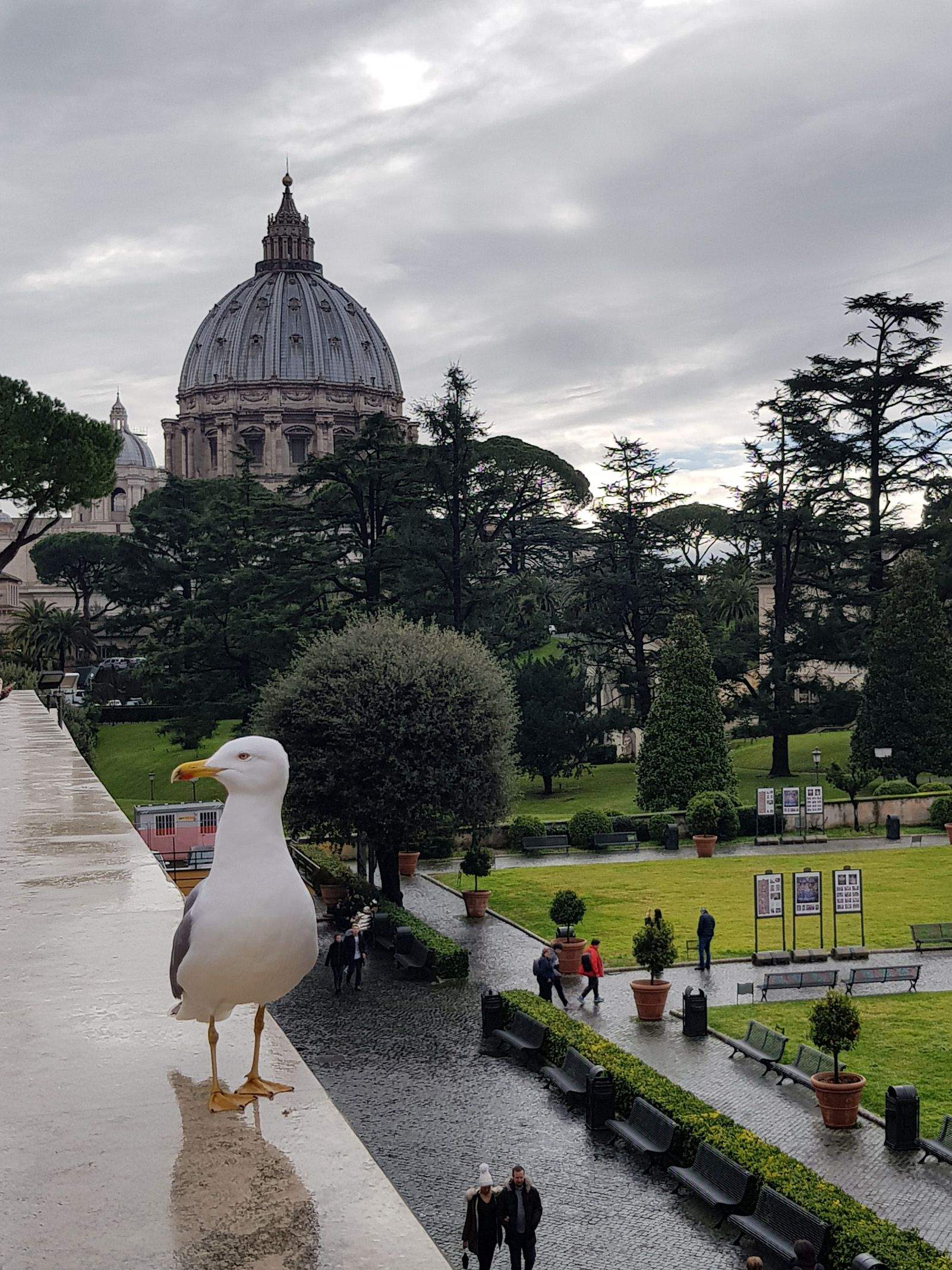 Fabri Quiñonez Quintero   In situ   Roma