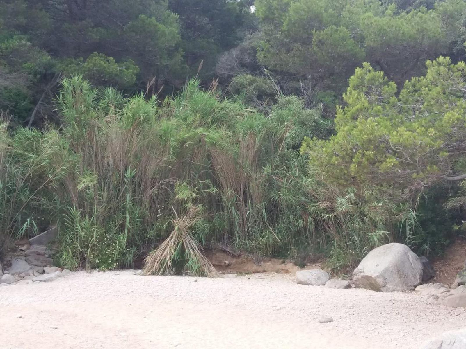 Francisca Mellado Gallardo   Com els primitius   Cala del camping Cala Llevadó, Tossa de Mar