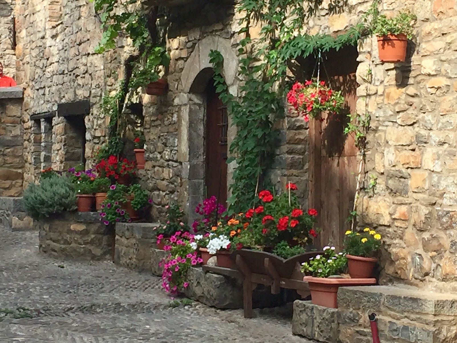 Francisco Manuel Serrano Rosúa   Flores de colores   Ainsa (Huesca)