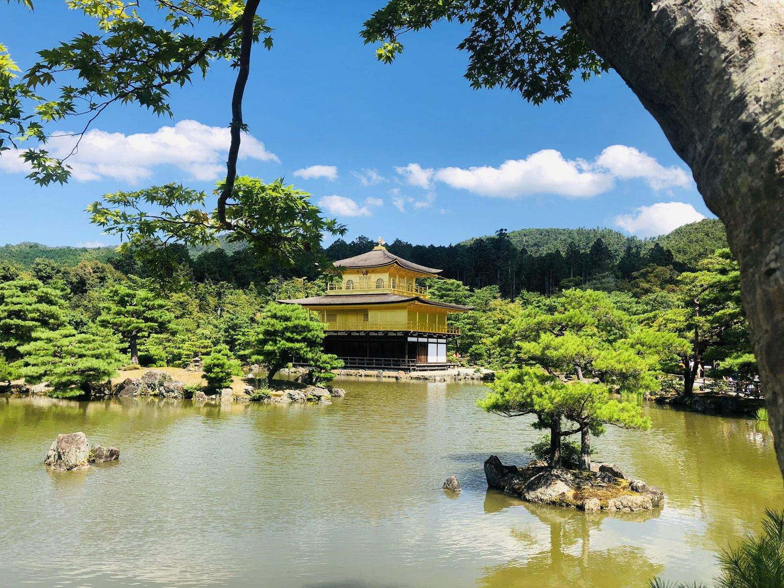 Gràcia Piqueras Piqueras   Parets d'or   Kioto, Japó