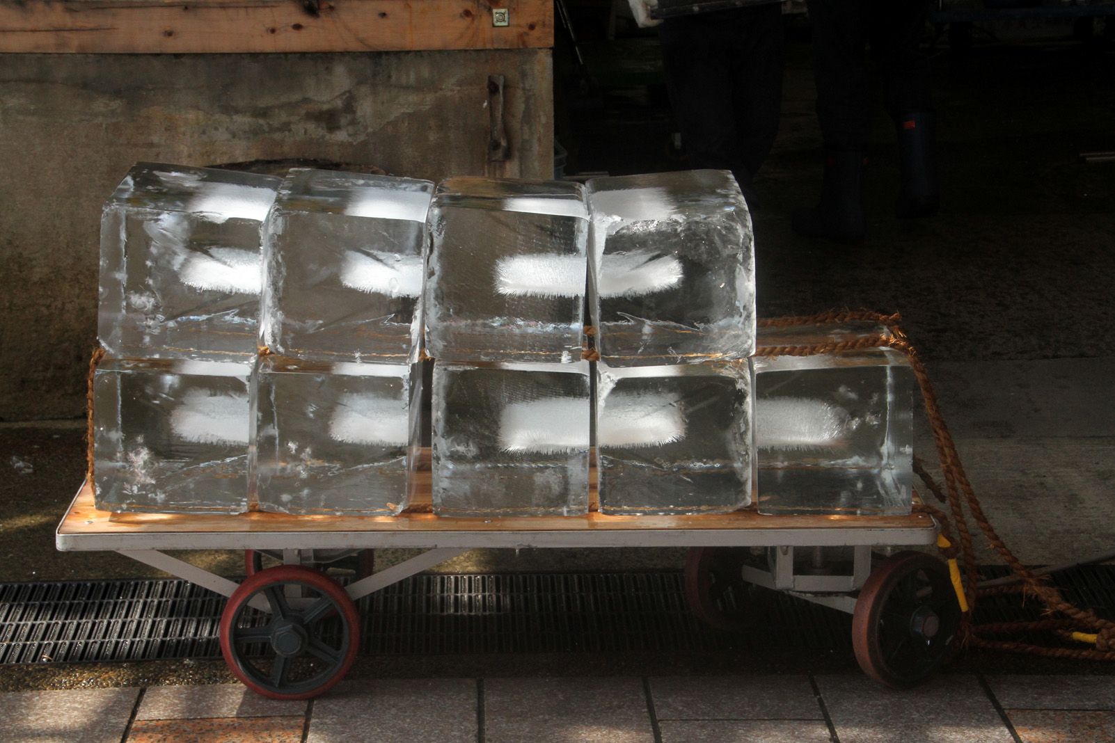 Gustavo Rodríguez Ferrer   Carregament de gel   Mercat de Kanazawa (Japó)