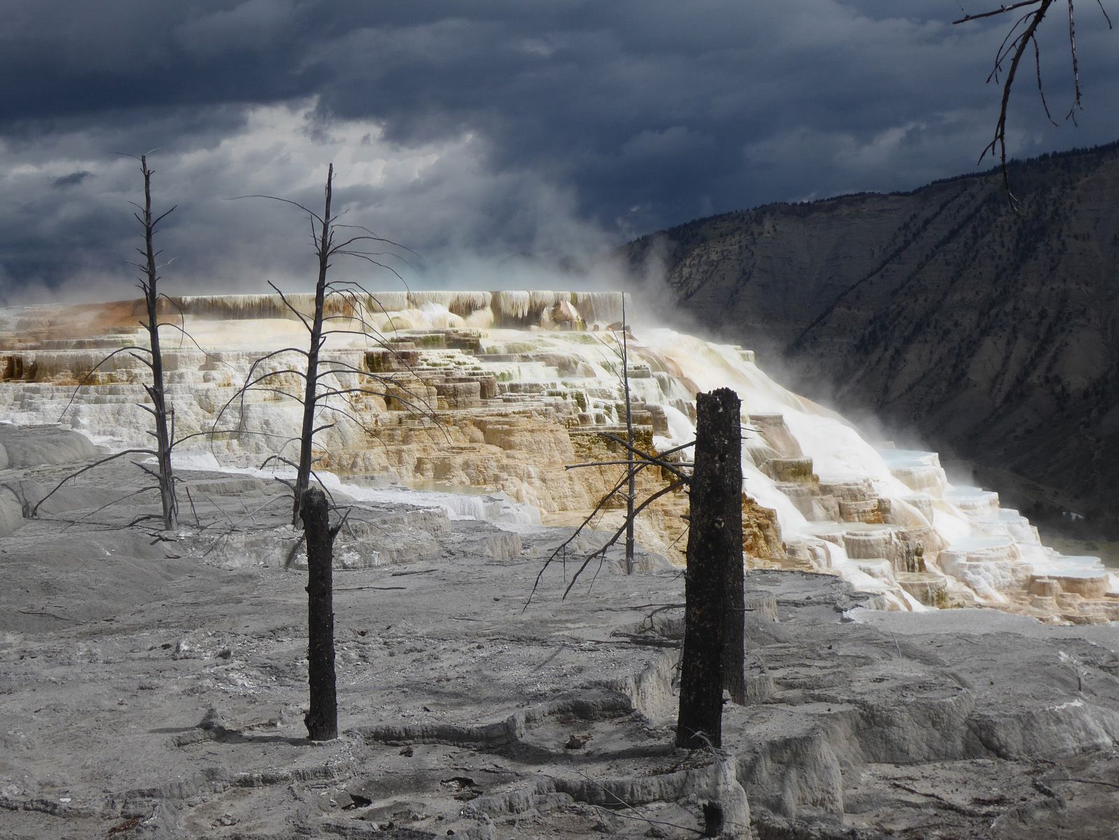 Iris Hochmair   ¡Qué bella es nuestra tierra!   Yellowstone National Parc, EEUU