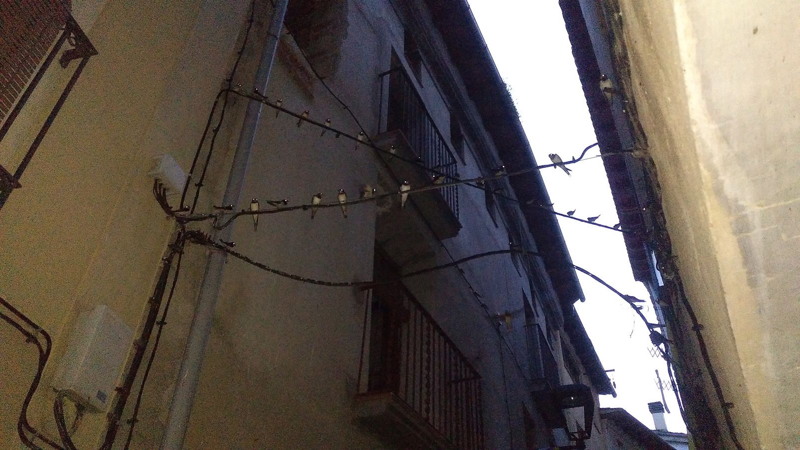 Isidre Plancheria i Coll   Tot sent Observat   Gerri de la Sal