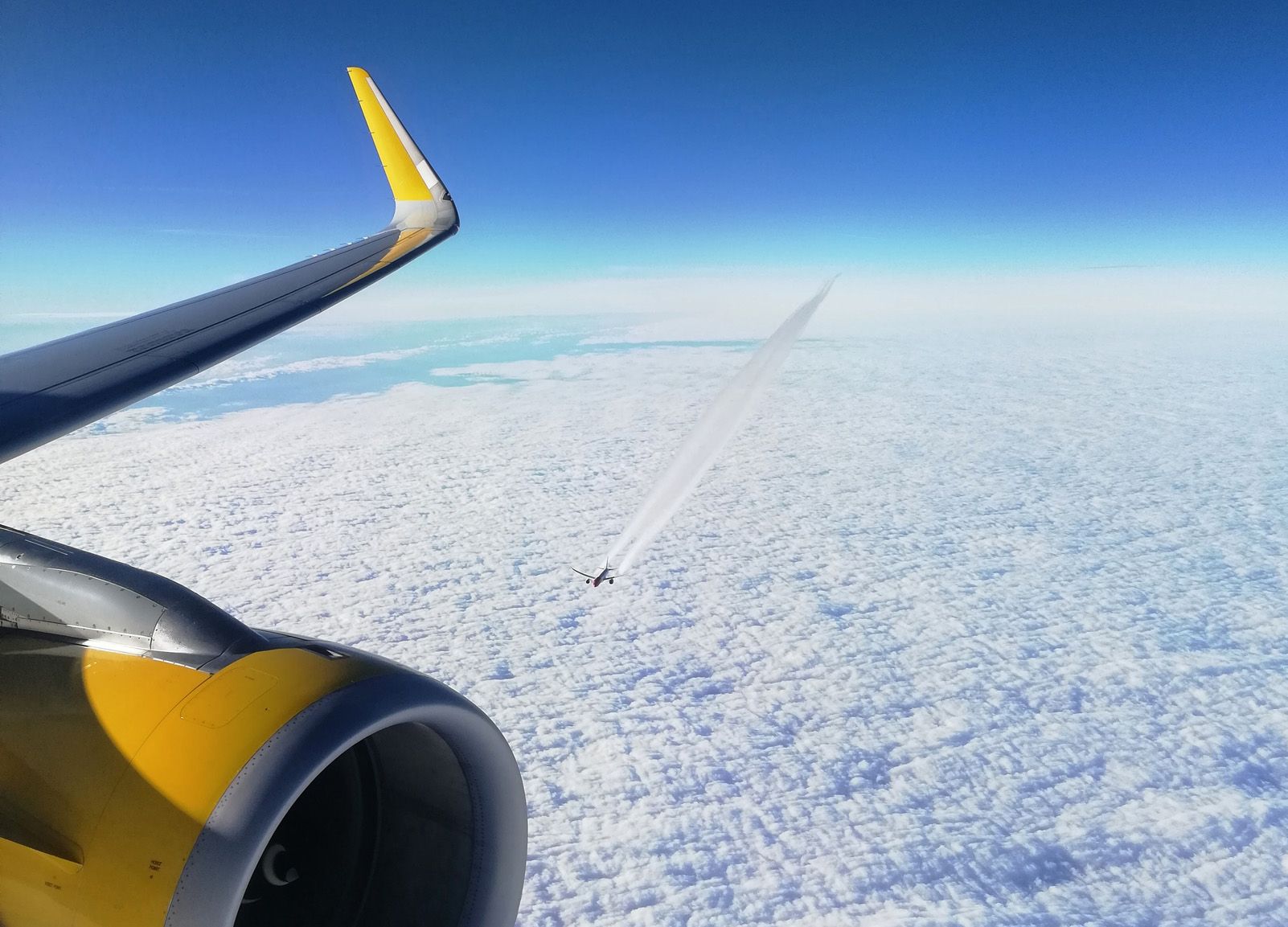 Jana Foraster   Camins creuats   A bord del vol BCN WAW