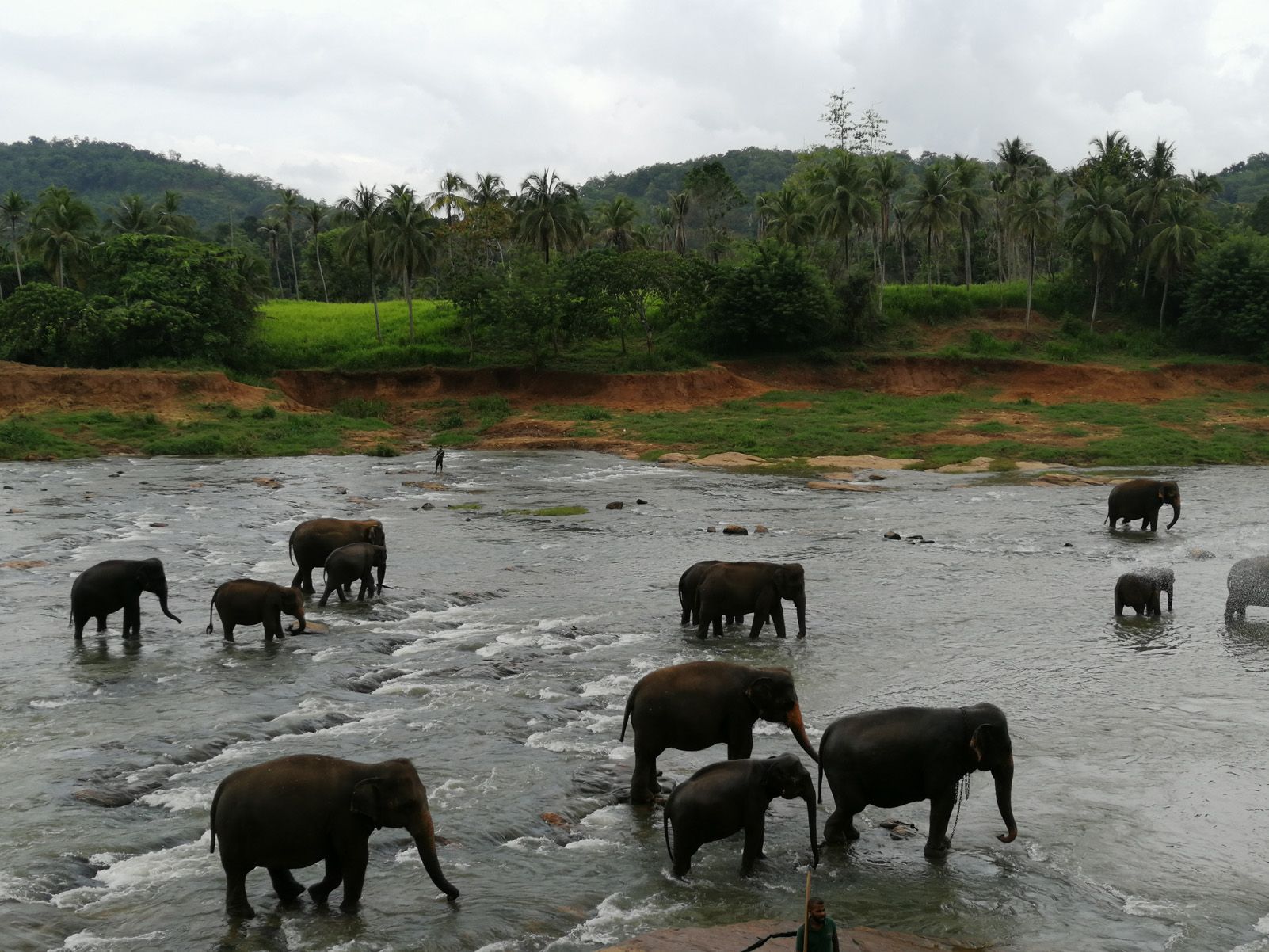 Joan Tomàs Escoruela   Riu salvatge   Sri Lanka