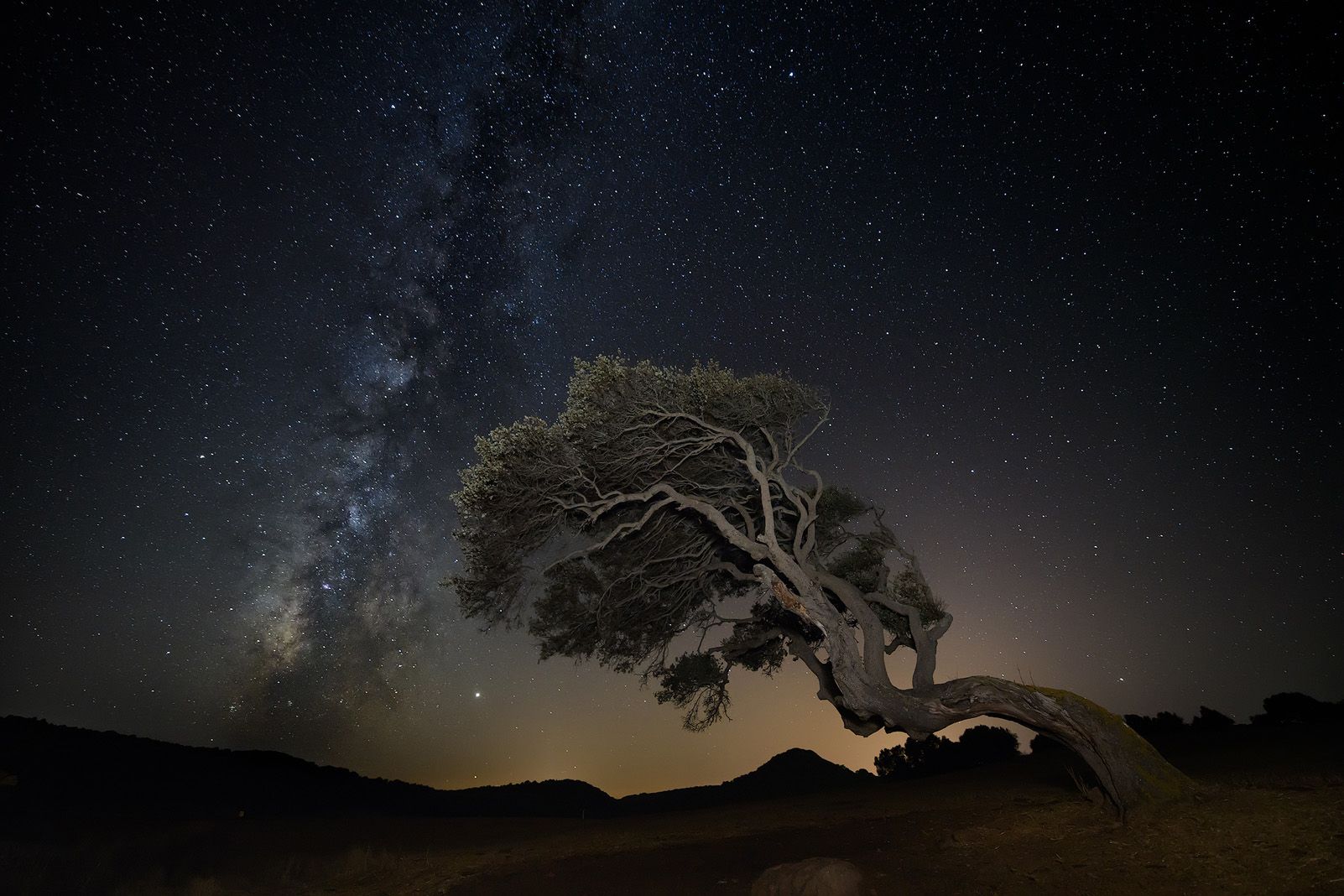 Jordi de Febrer de Olives   Tramuntana   Menorca