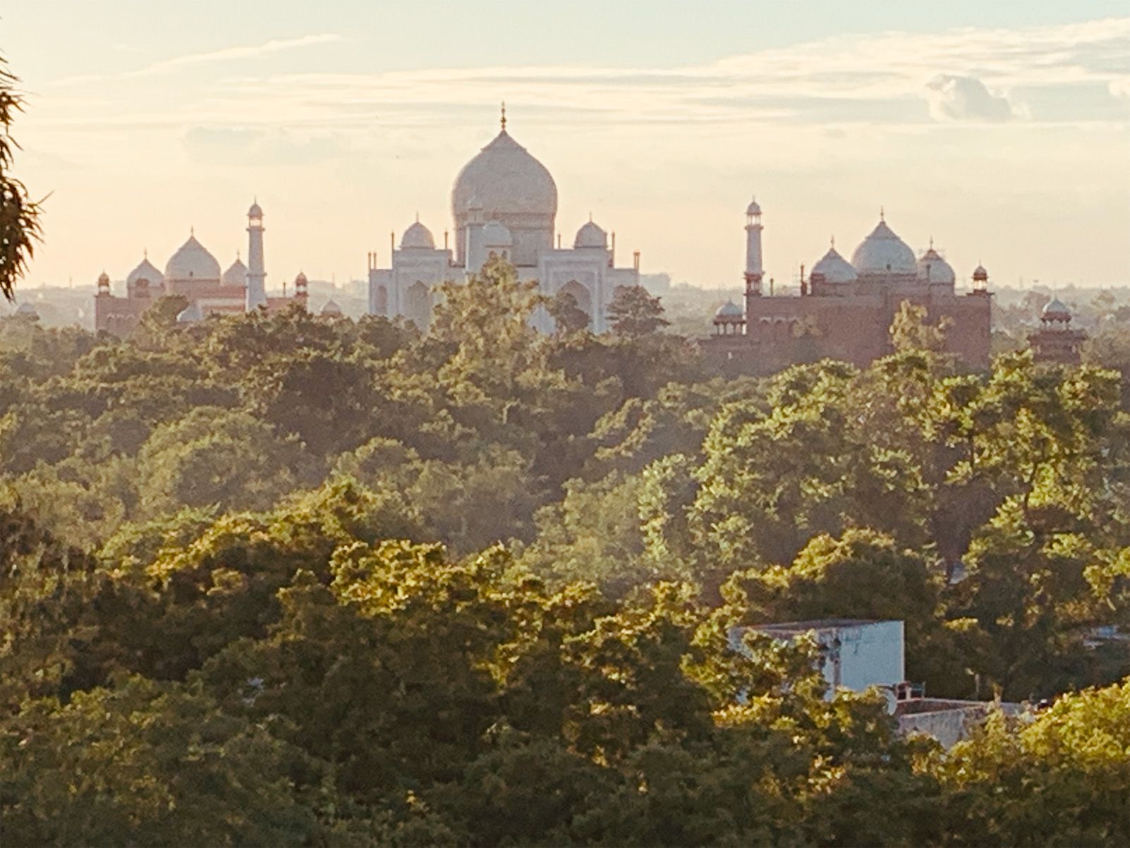 Jordi Martí Crespo   Taj r