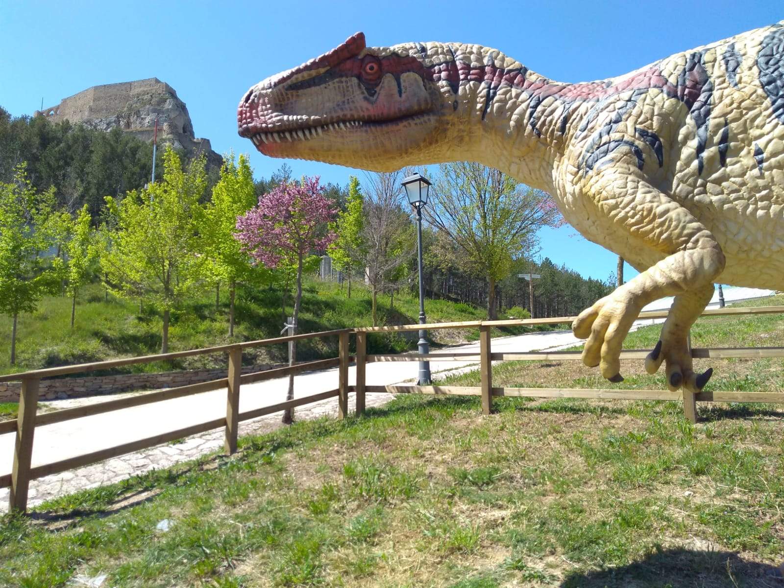 Lourdes Pérez Altolaguirre   la petjada dels nostres avantpassats   Morella