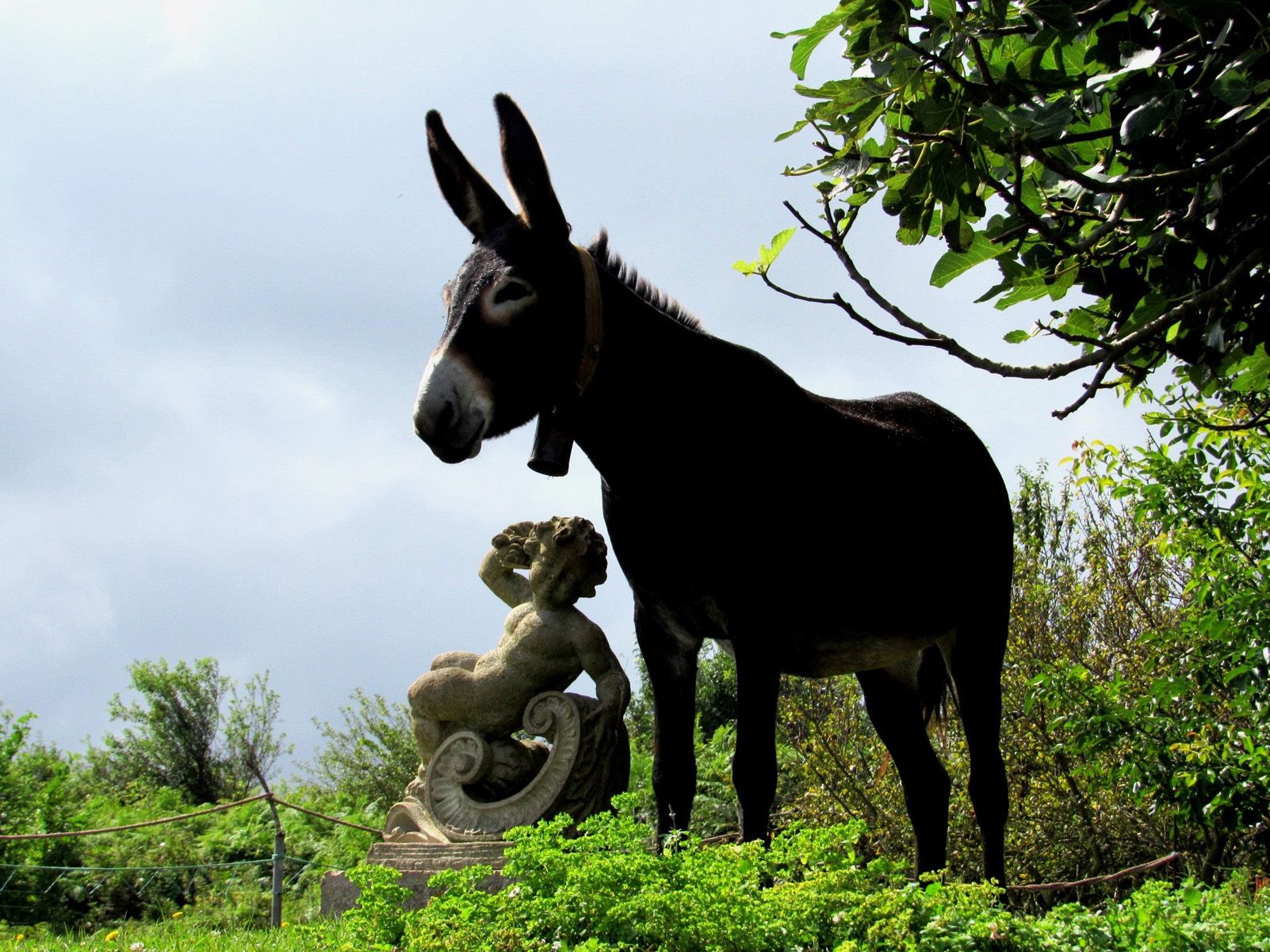LYDIA ALGUERÓ OLIVÉ   Als rucs també ens agrada l'art   CANTABRIA