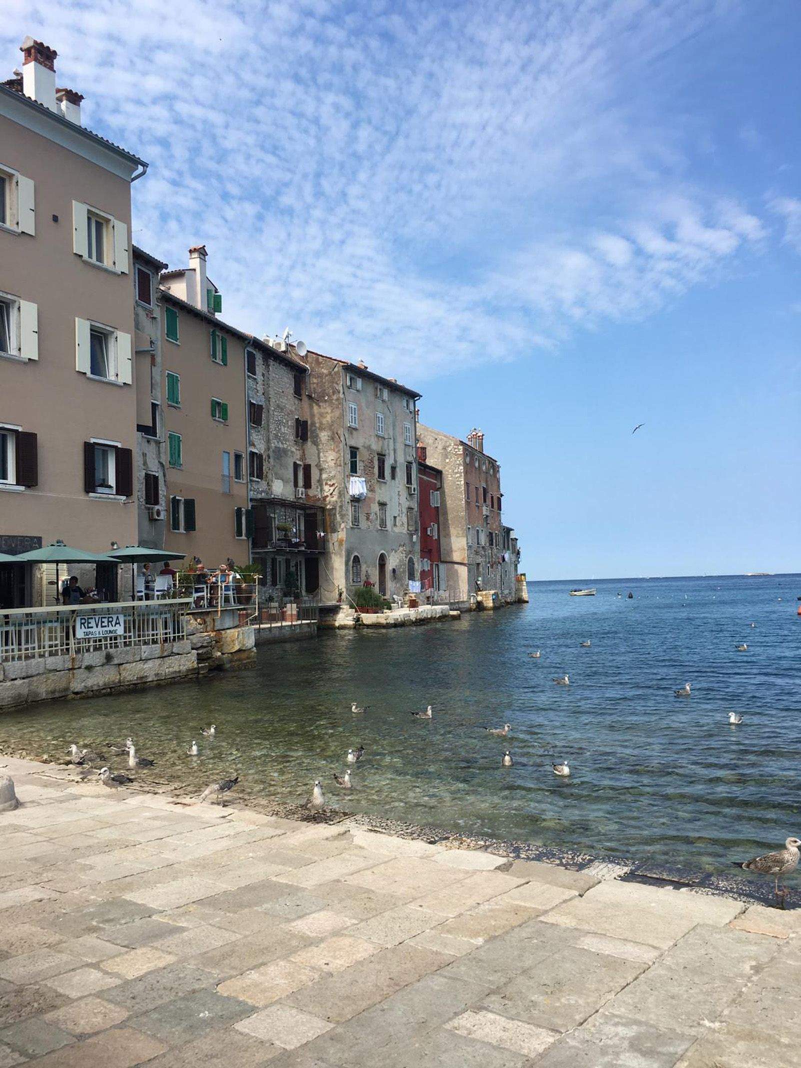 Laura Fabbi   Humanos y gaviotas   Croacia, Rovinj