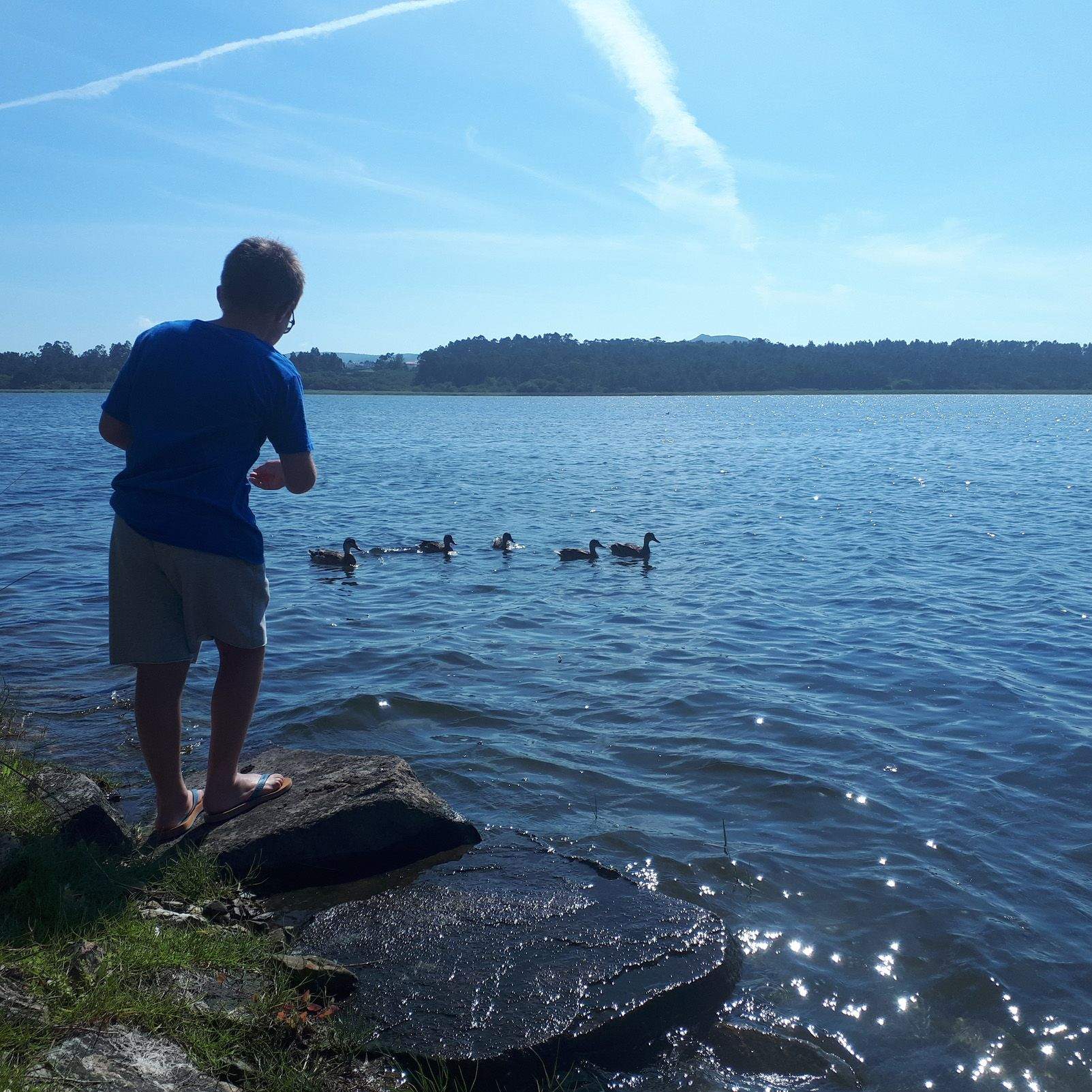 Mar Ollero Novo   El Llac   Valdoviño (Galicia)