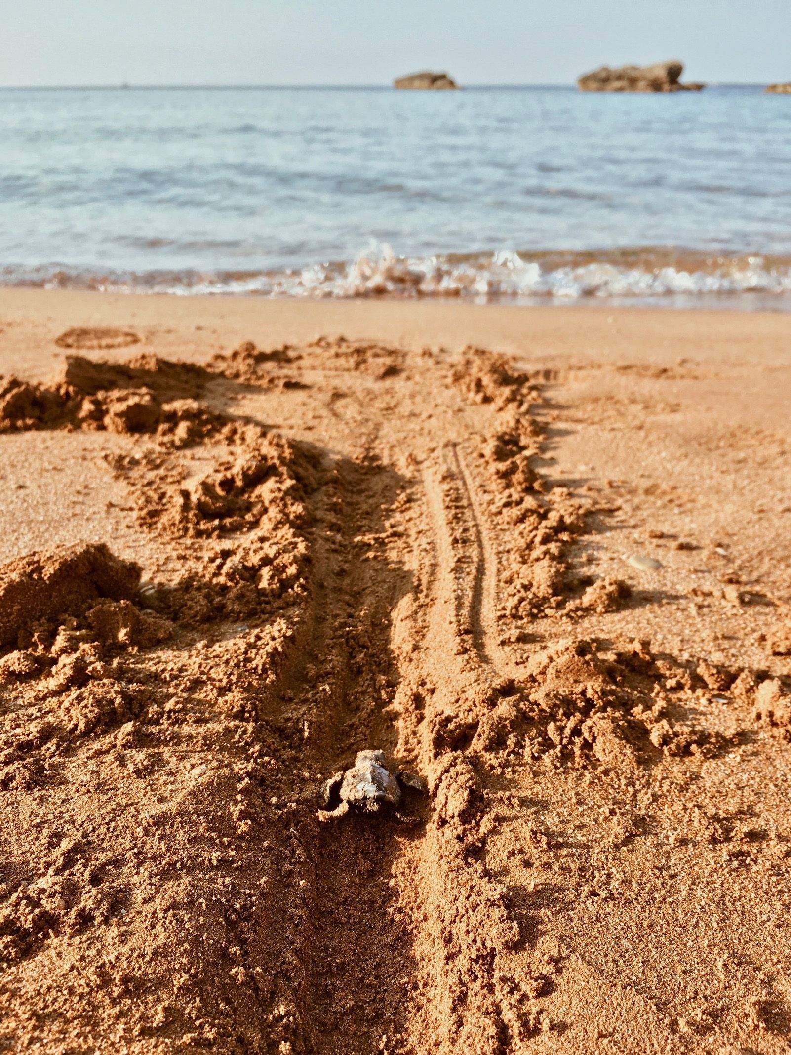 Maria Casademont i Roca   A pas de tortuga   Megas Lakkos