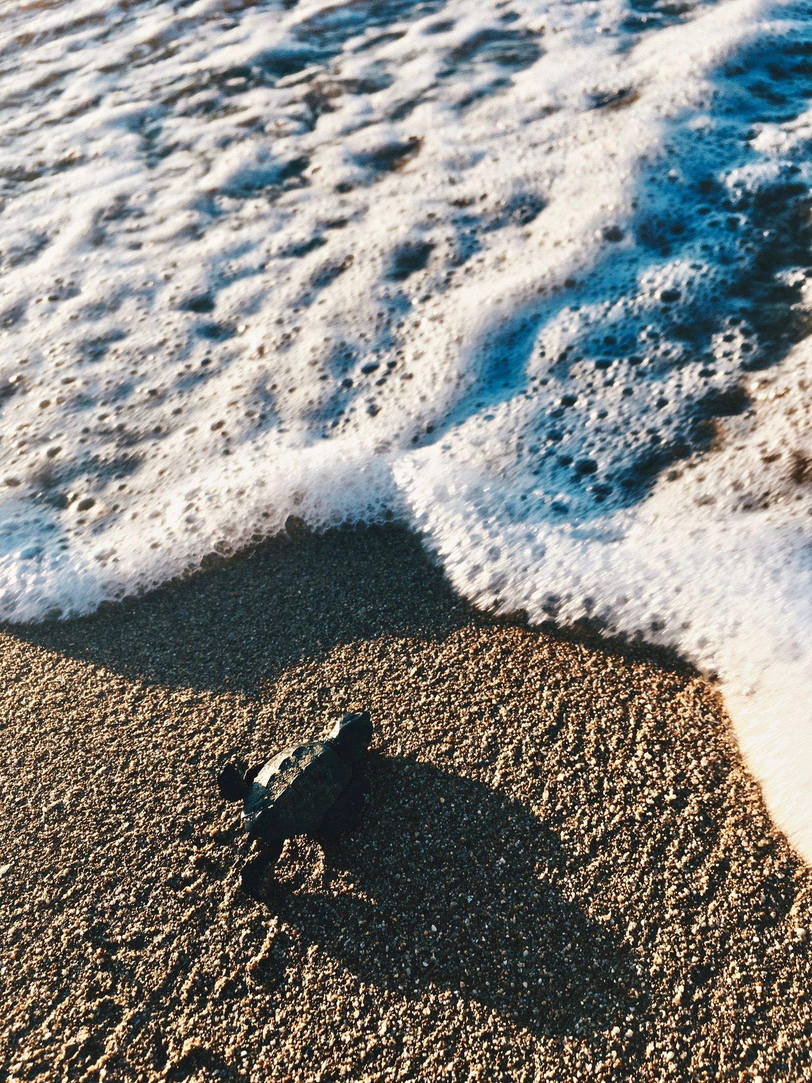 Maria Casademont i Roca   Inicis   Megas Lakkos