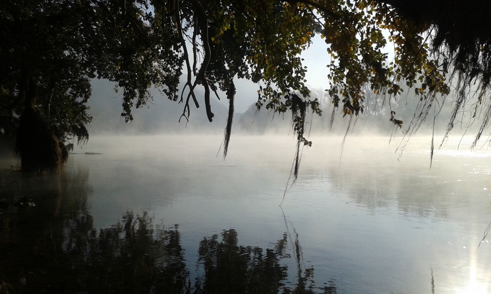 mariella domingo   LIFE   Ribera d'Ebre