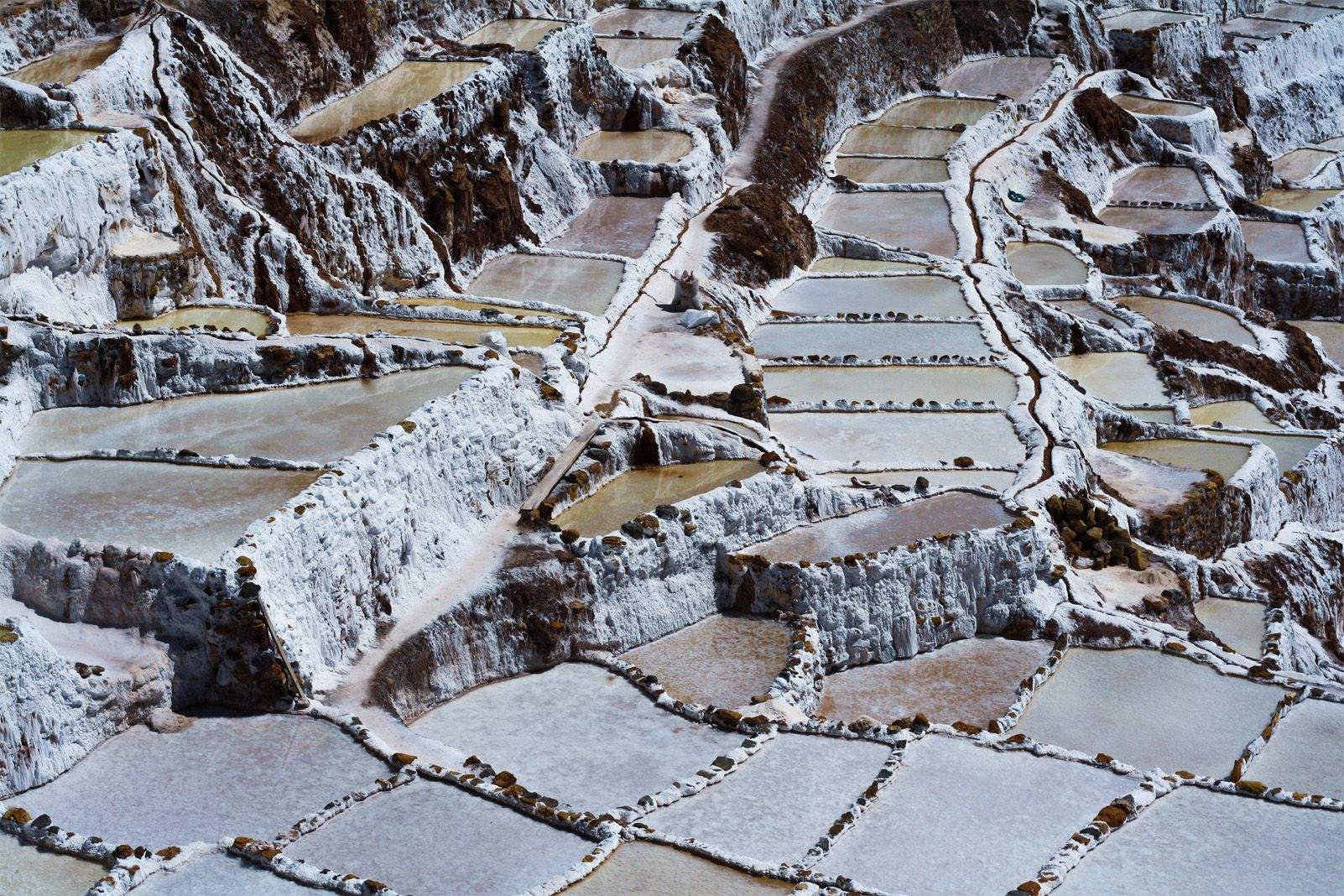 Marta López Roig   Una mic