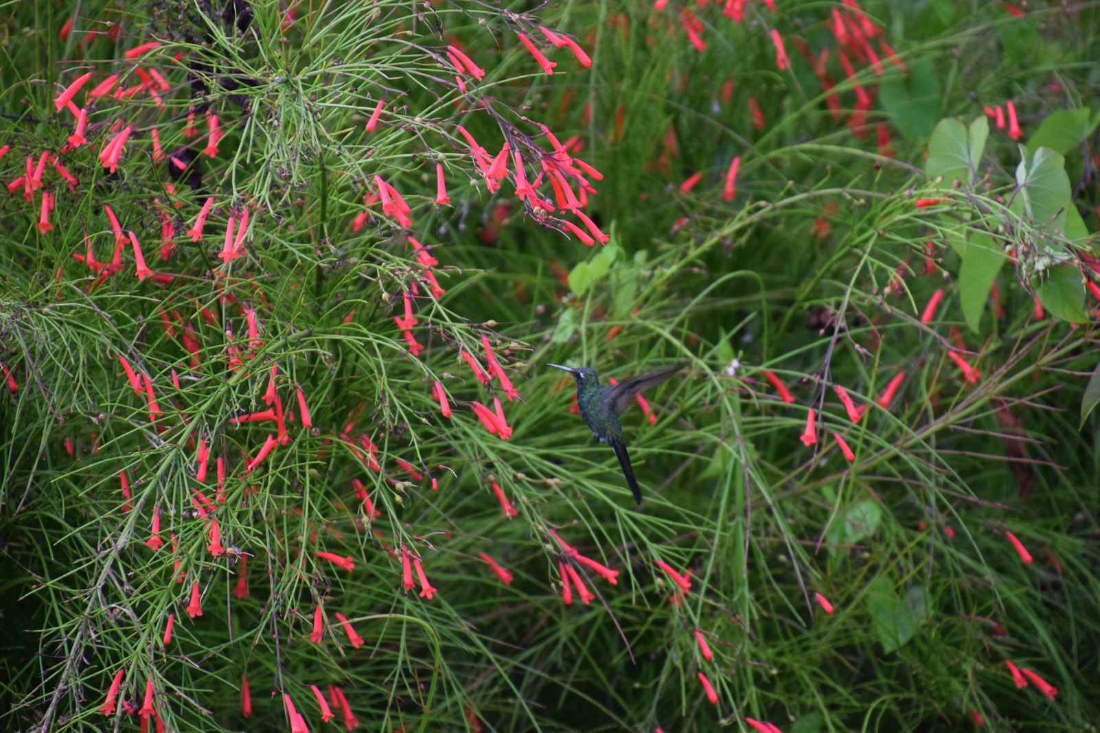 Marta Millán Vives   Instant de temps   Viñales, Cuba