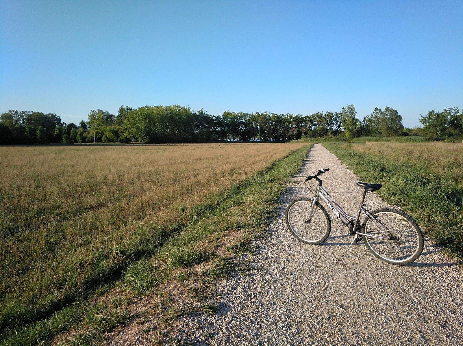 Marta Vives Ballesta   Sola   Banyoles