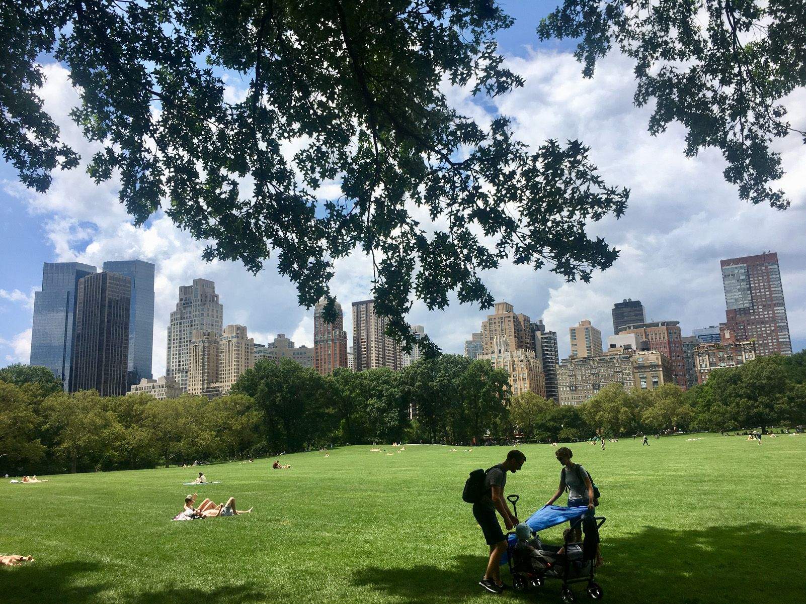 Mercè Recasens Rodriguez   Central Park   new York