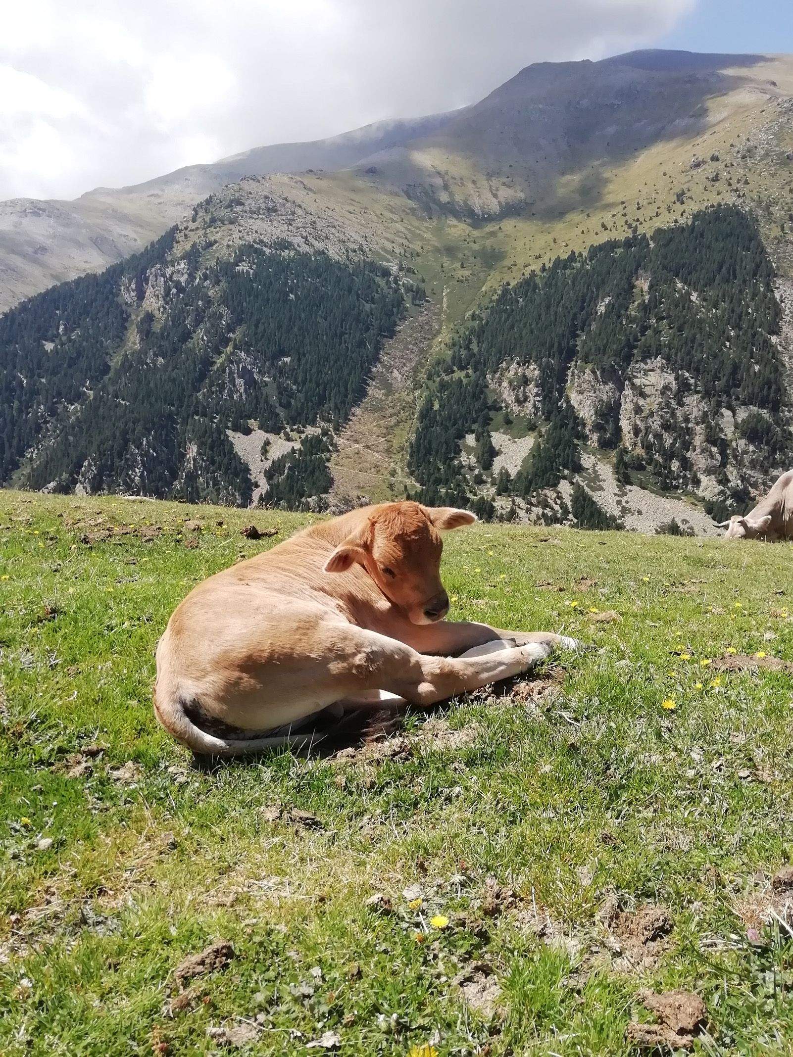 Míriam Baixas Colominas   Just Chilling   Vall De Nuria