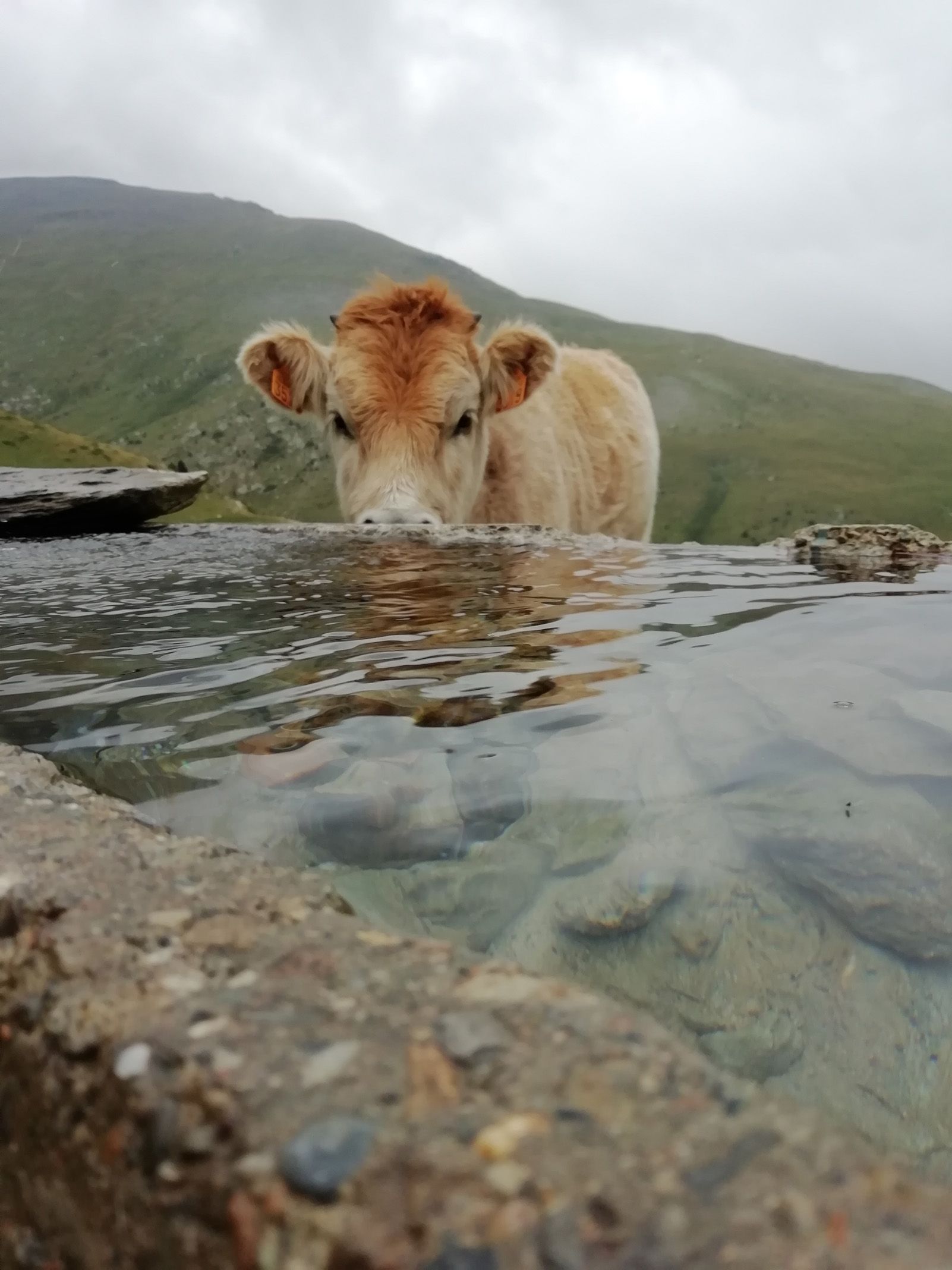 Míriam Baixas Colominas   Llibertat   Vall De Nuria