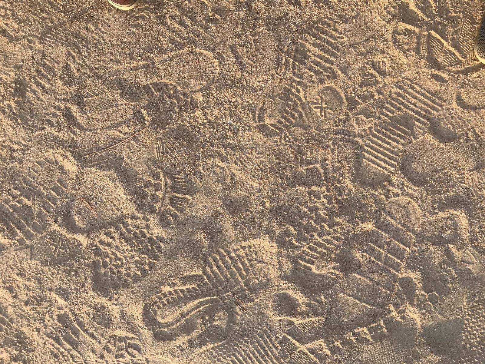 miquel pellicer esteban   trepitja´m   palamos