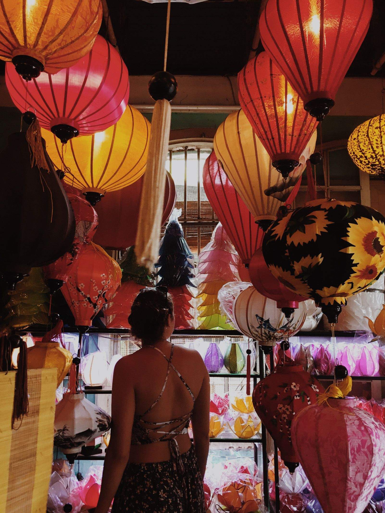 Montsina Roca i Barberí   Curiositat   Vietnam