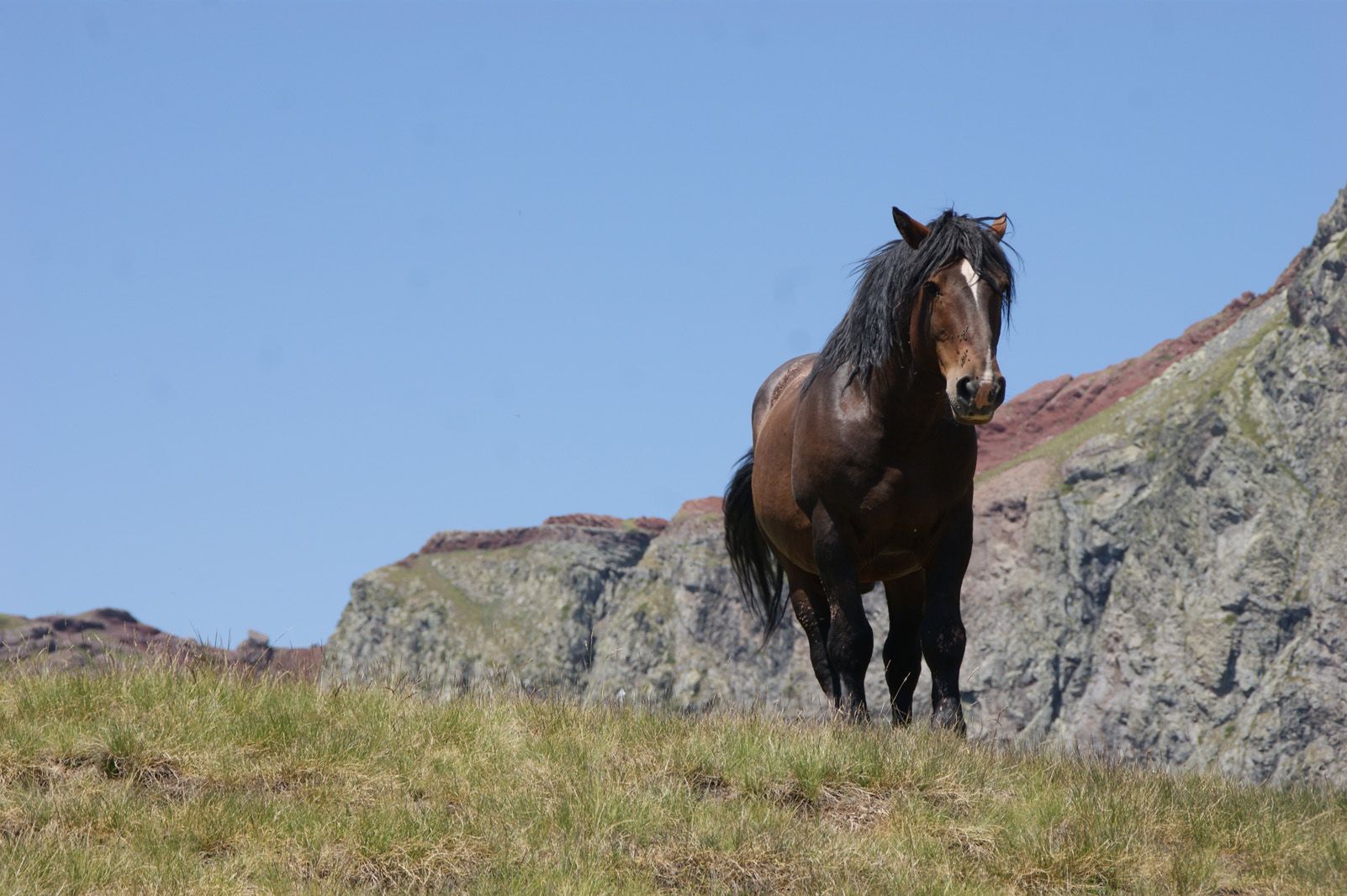 Natàlia Gómez Díaz   Sorpreses d'alta muntanya   Biescas, Aragó