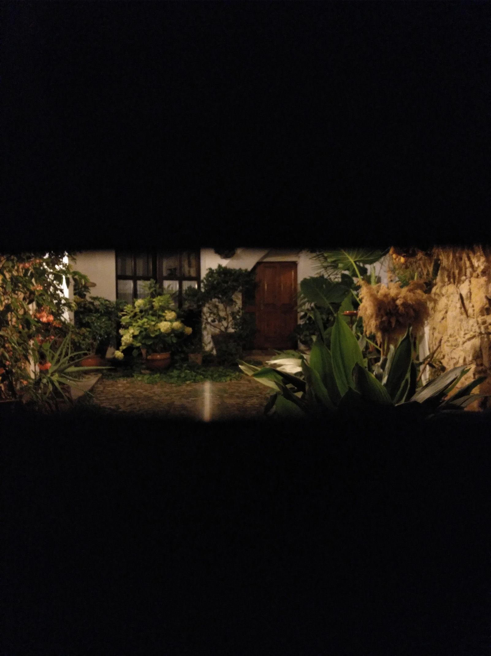 Nicola Marras   Desde el buzón   Palls