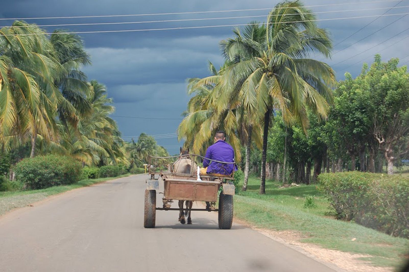 Pilar Ureña Querol   camí Cienfuegos   Cienfuegos, Cuba