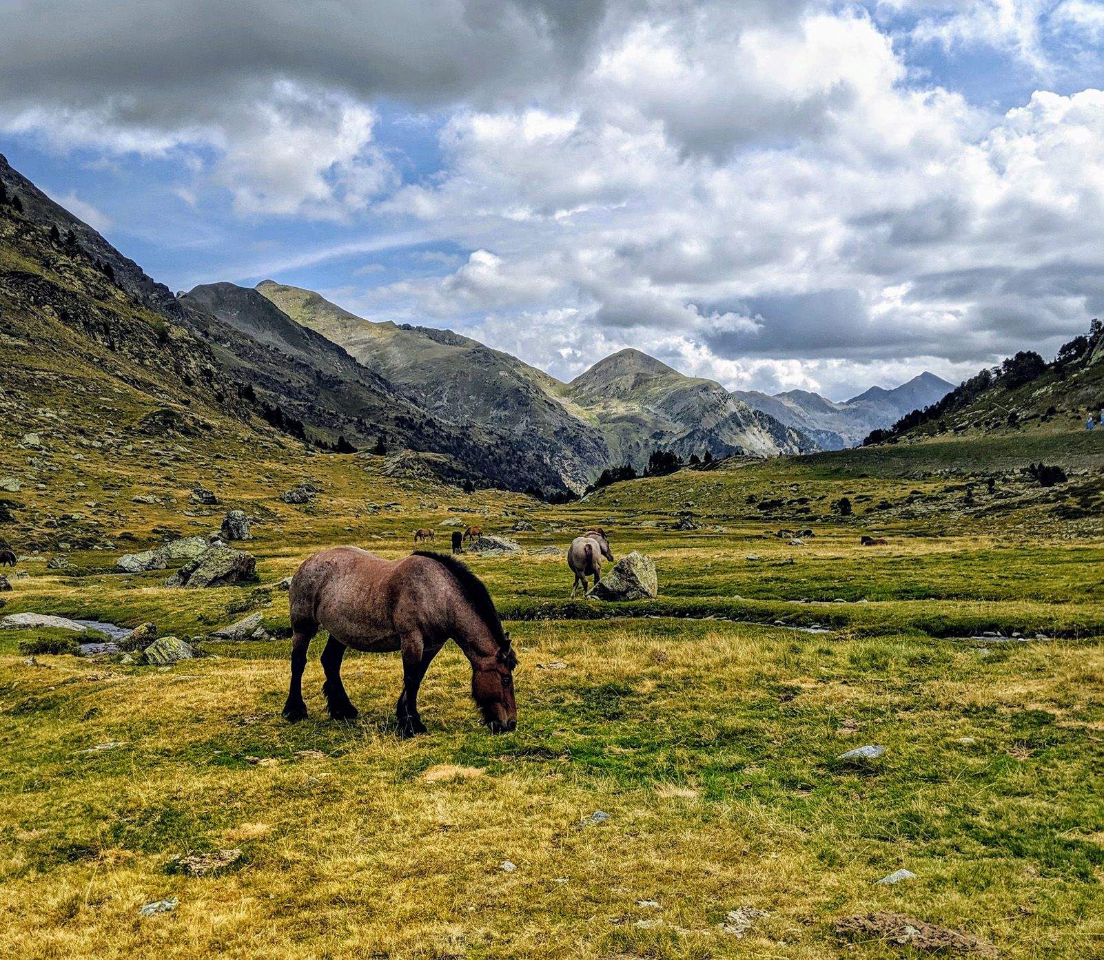 Raül Menéndez Córdoba   Entre cavalls   Arcalís