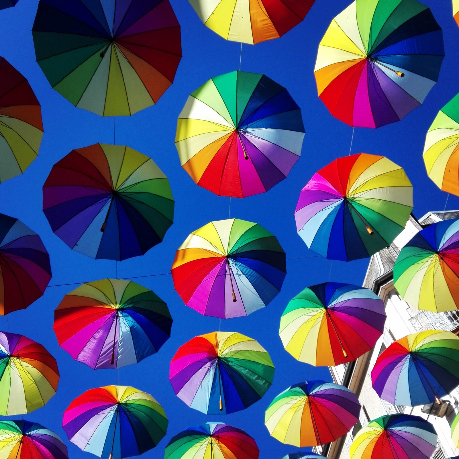 Samuel Renaud   Arc en parapluie   Gap, france