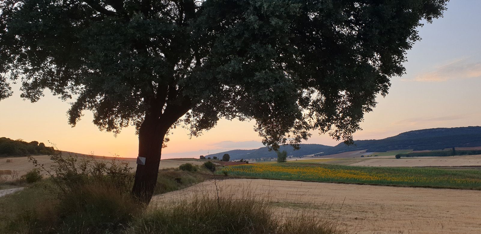 Sandra Mill   Camino Soria   LA HINOJOSA (SORIA)