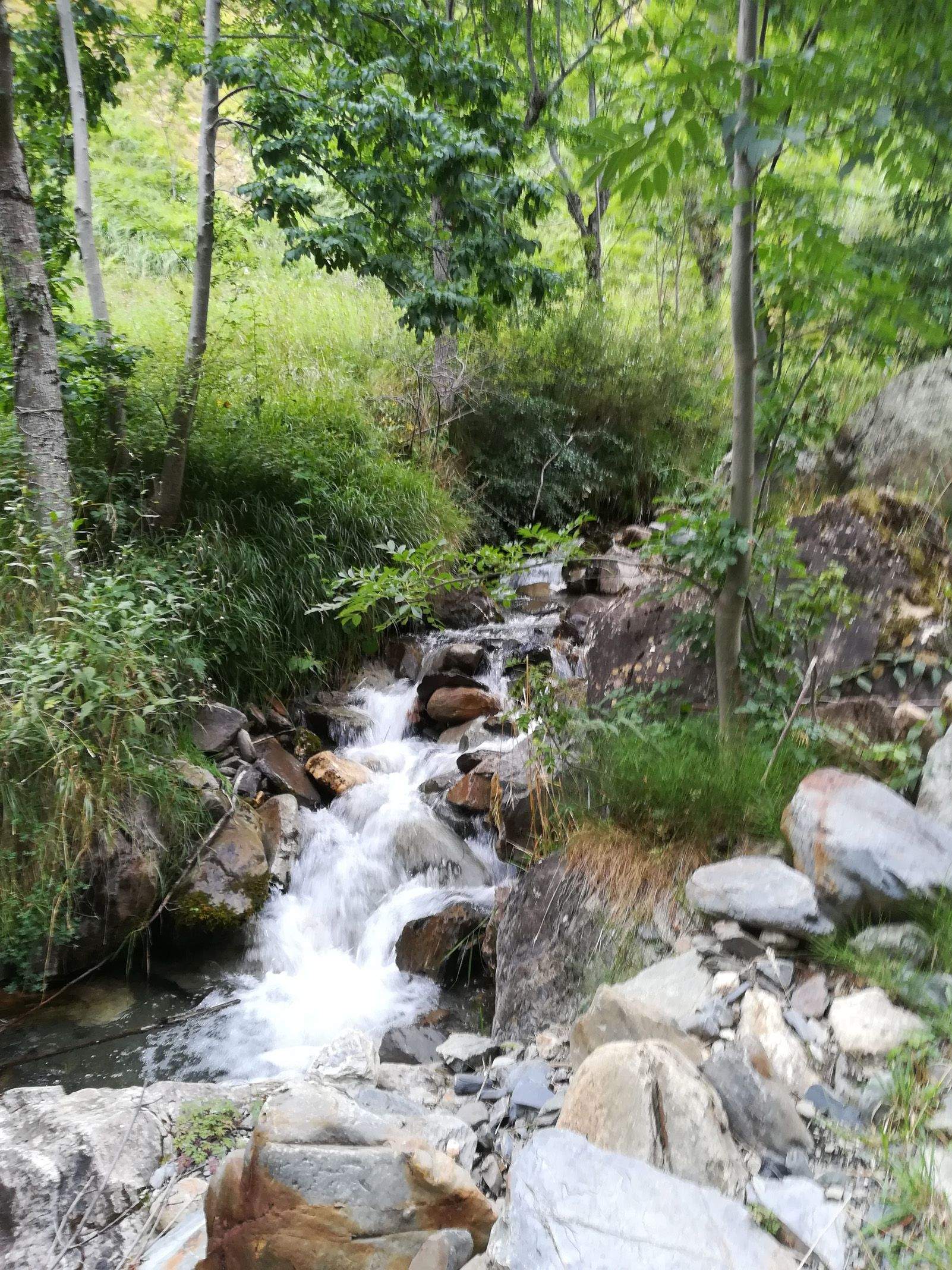 Silvano Bendinelli   Corrent del Riu Unhola   Gessa, Riu Unhola