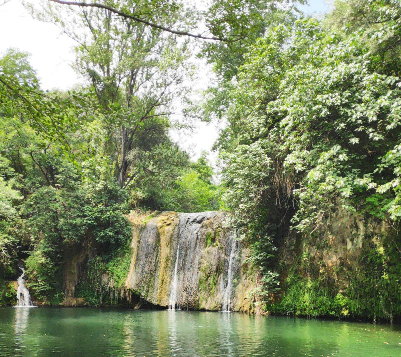 Silvia Simó aymar   Fred Gorg   Olot