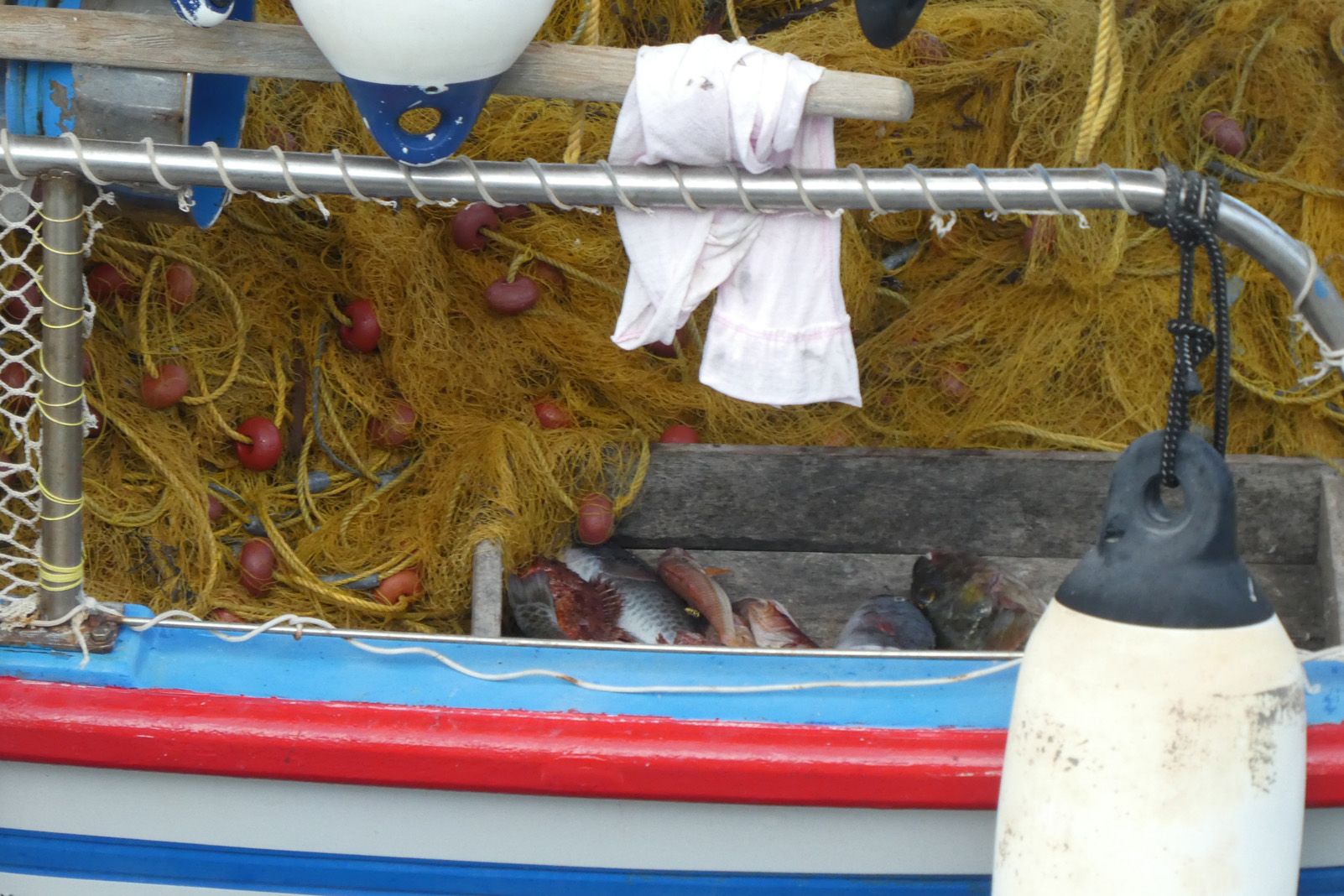 Sofia Roma Ferré   Xarxes socials   Ítaca   Grècia