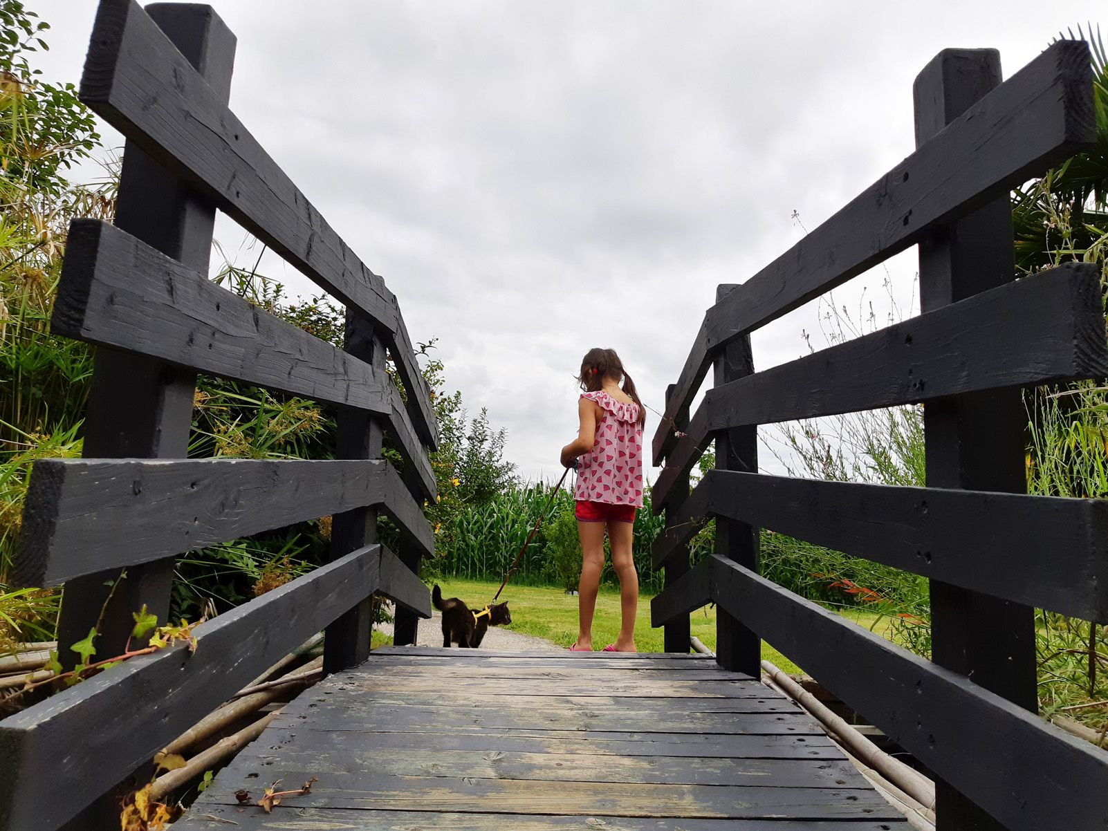 Stella Noviani   La aventura de una niña y su gata   Tarnos, Francia