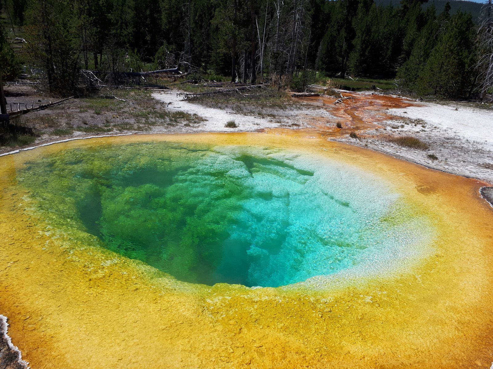 Toni Izquierdo Alsina   Un tesoro de colores   Parque Nacional de Yellowstone, EEUU