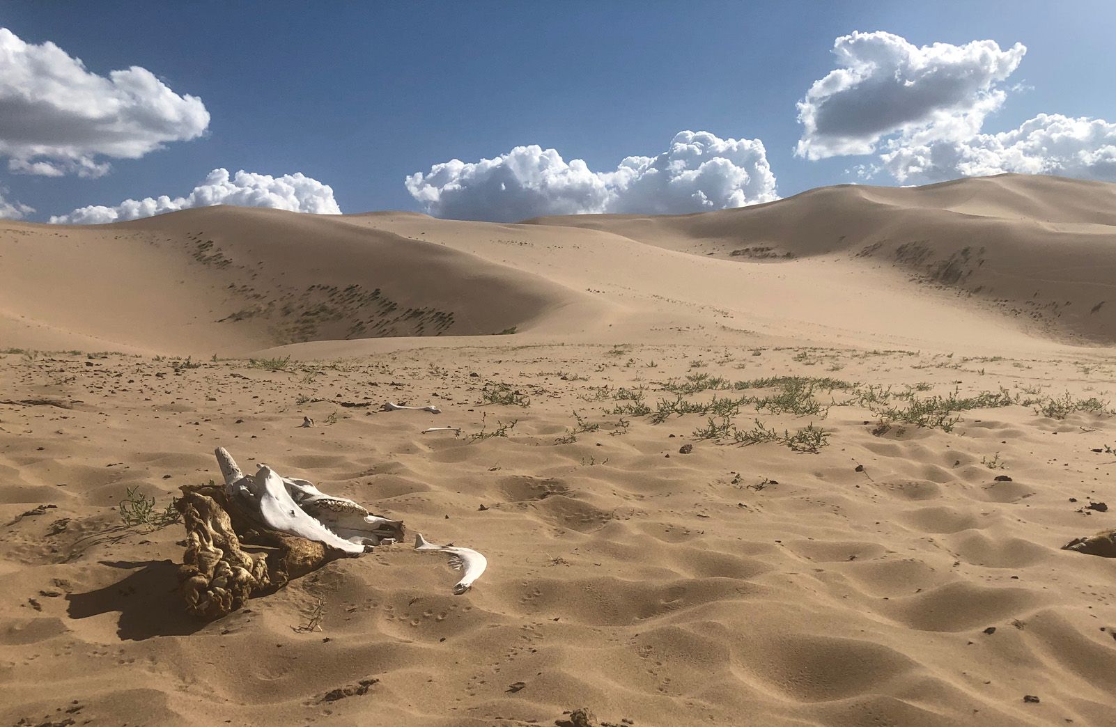 Xavi Gimenez Xaixo   Mortadelo i Filemon al Gobi   Desert del Gobi, Mongolia