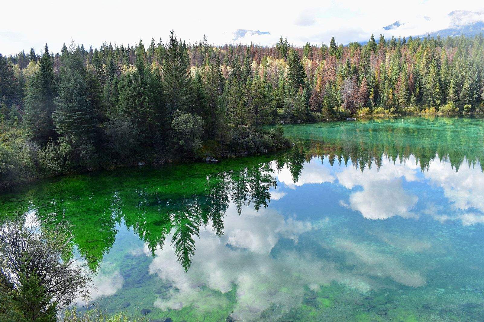 Xavier Pérez Roig   De bon matí a Jasper   5 Lakes, Parc Natural de Jasper, Canadà
