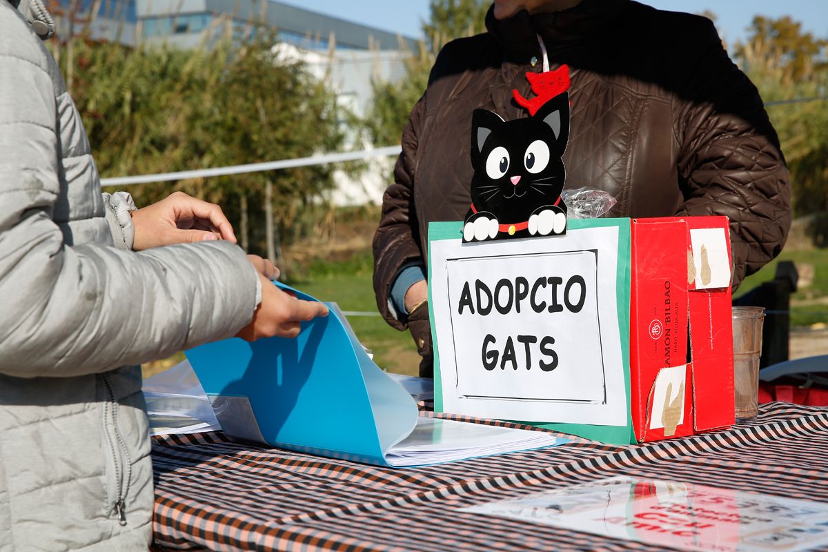 Jornada d'adopció del Cau Amic a Can Jornada d'adopció del Cau Amic a Can Caldés. FOTO: Yves Dimant