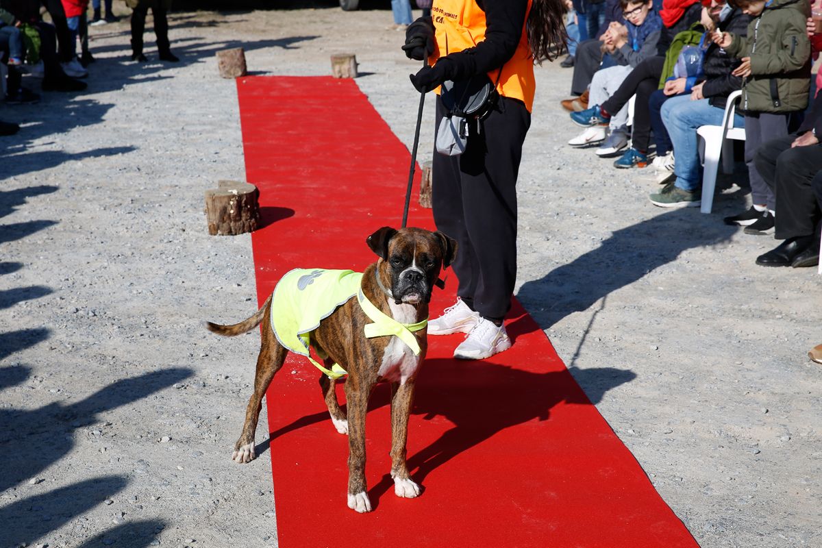 Jornada d'adopció del Cau Amic a Can Caldés. FOTO: Yves Dimant