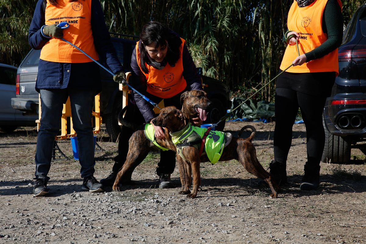 Jornada d'adopció del Cau Amic a Can Caldés. FOTO: Yves Dimant
