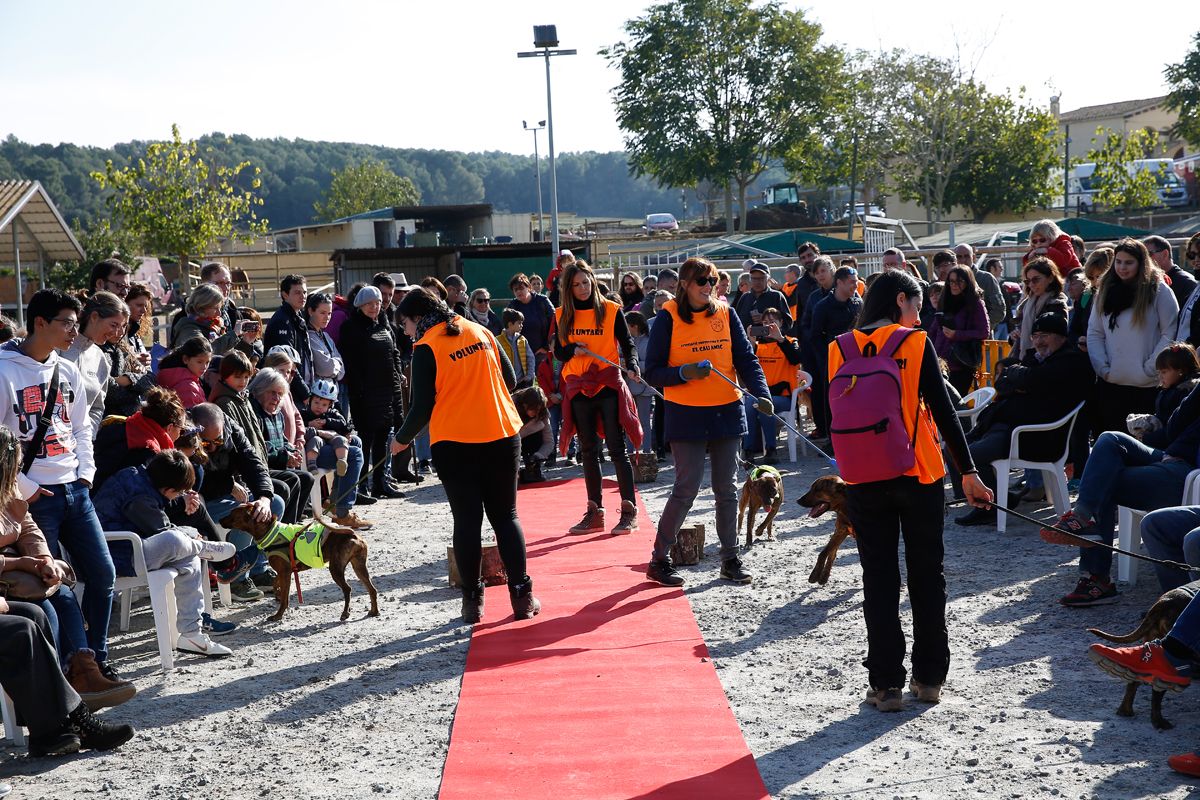 Jornada d'adopció del Cau Amic a Can Caldés. FOTO: Yves Dimant