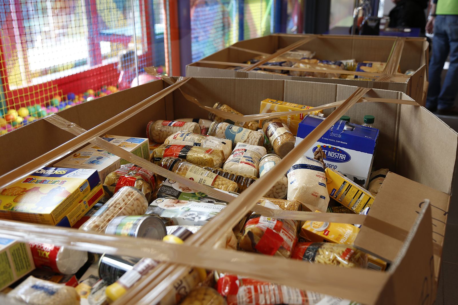 Gran recapte d'alimentació a l'Esclat. FOTO: Anna Bassa