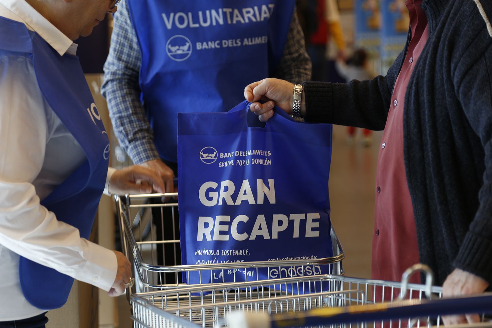 Gran recapte d'alimentació a l'Esclat. FOTO: Anna Bassa