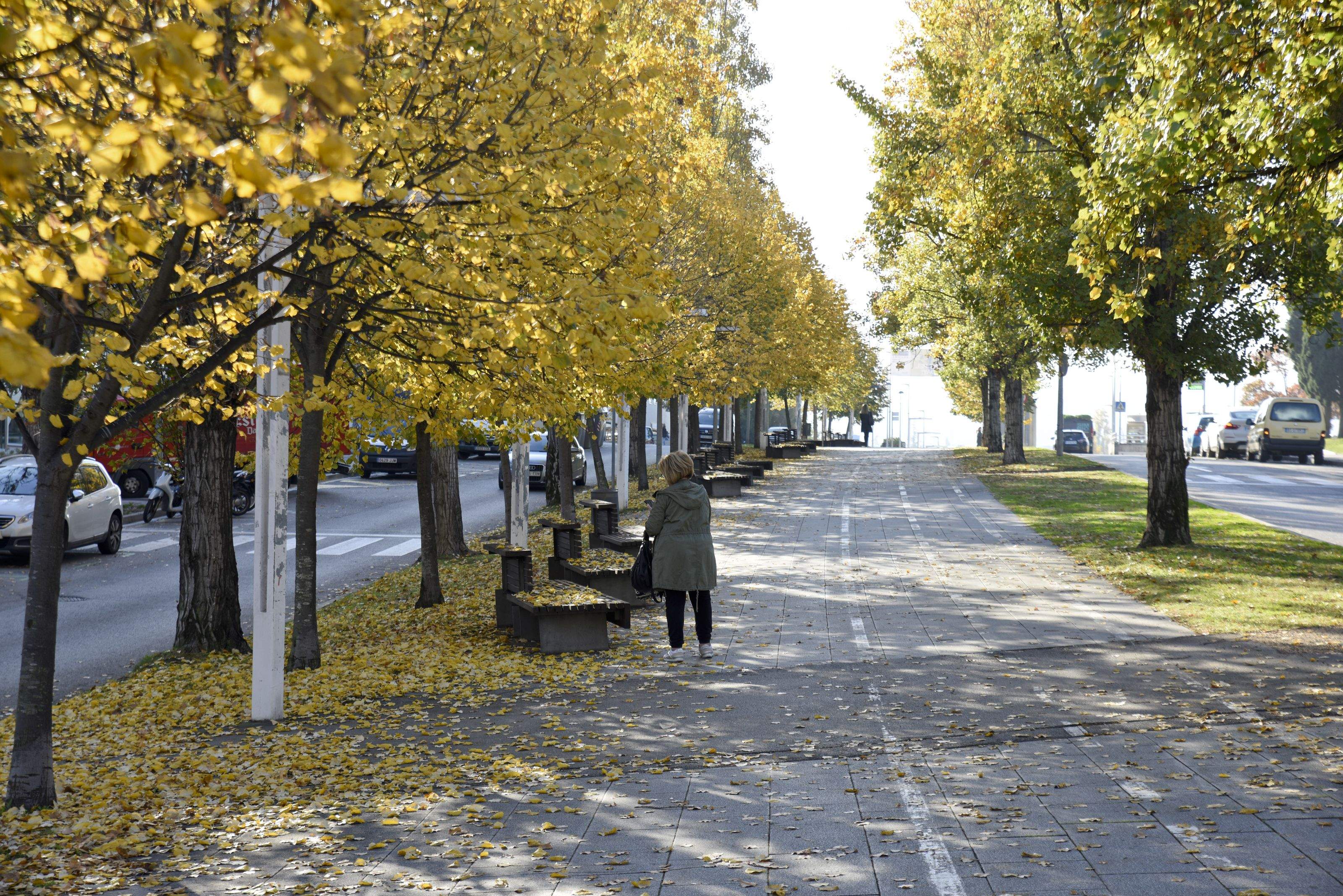 Temps tranquil i estable per aquest inici de setmana. FOTO: Bernat Millet