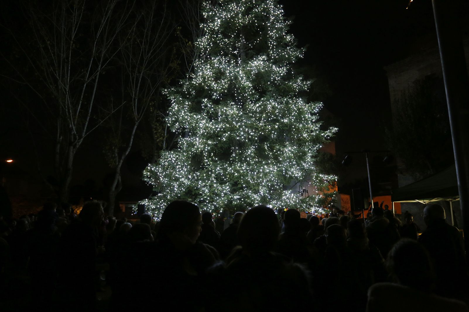 Encesa de llums de l'arbe de nadal de Valldoreix. FOTO: Anna Bassa