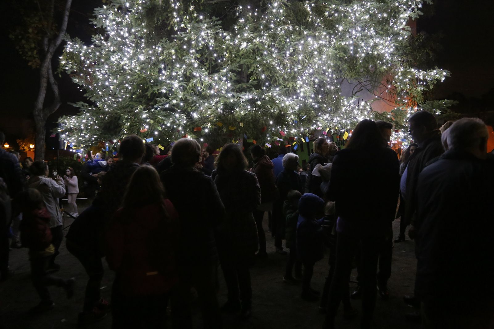 Encesa de llums de l'arbe de nadal de Valldoreix. FOTO: Anna Bassa